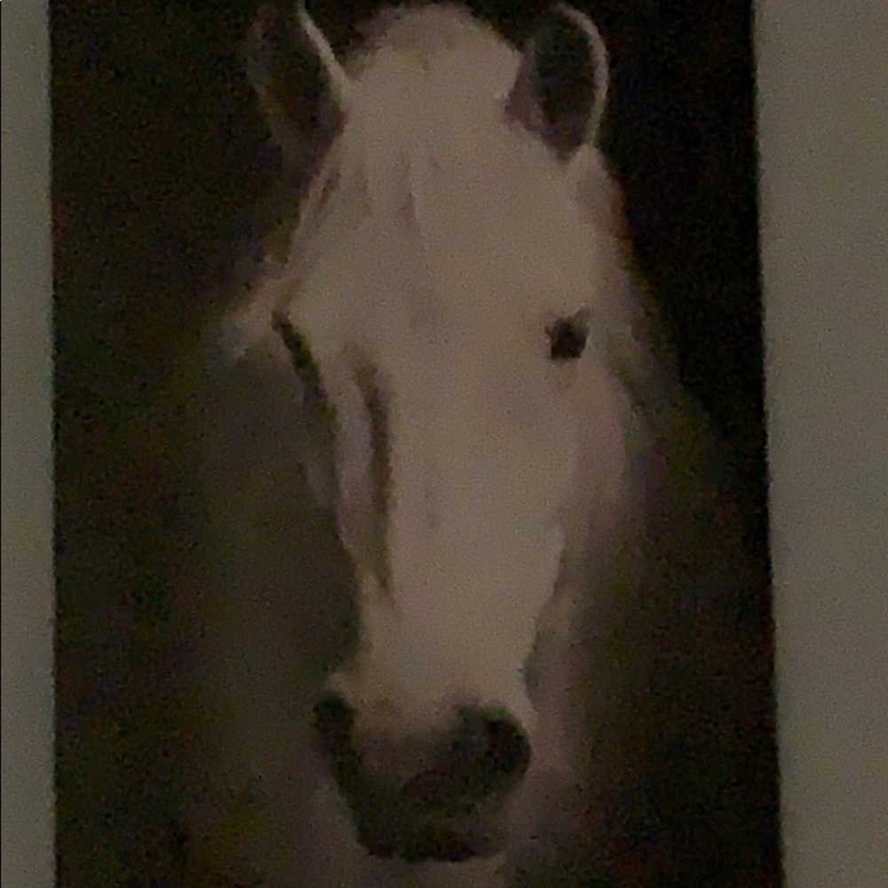 Meet your Posher, Leisy